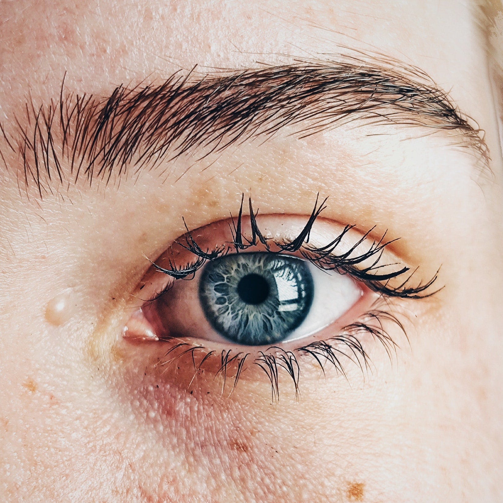 Closeup of eyebrow and blue eye / Pexels / Almada Studio
